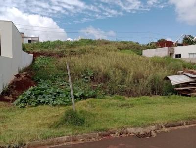 Terreno para Venda, em Pato Branco, bairro Cadorin