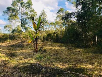 rea para Incorporao para Venda, em Ibina, bairro 