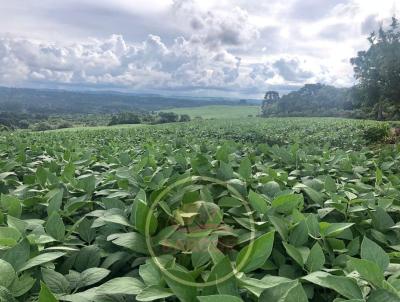 rea Rural para Venda, em , bairro Solicite KMZ, regio de Pitanga