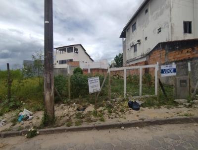 Lote para Venda, em So Mateus, bairro Jaqueline