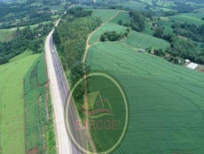 Stio para Venda, em , bairro Solicite KMZ, Regio de Cascavel.