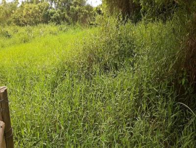 Terreno para Venda, em Imaru, bairro Ribeiro de Cangueri