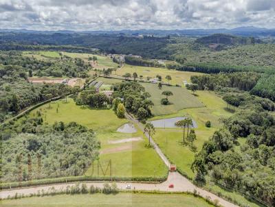 Chcara para Venda, em Campina Grande do Sul, bairro REGIO DO BUTI