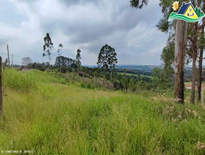 Terreno para Venda, em Ibina, bairro Centro