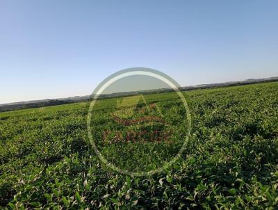 Fazenda para Venda, em Loanda, bairro .