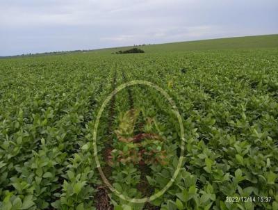 rea Rural para Locao, em , bairro Arrendamento Estado do Mato Grosso