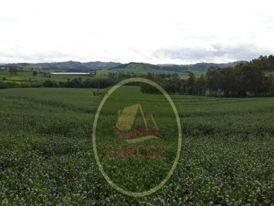 Fazenda para Venda, em Iretama, bairro .