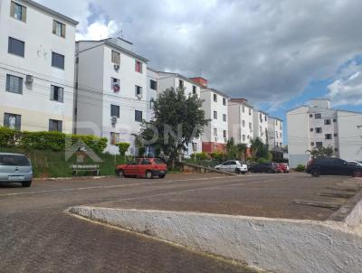 Apartamento para Venda, em Sapiranga, bairro São Luiz, 2 dormitórios, 1 banheiro