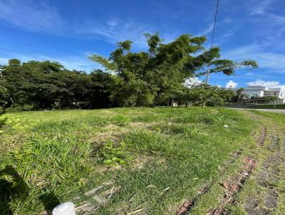 Terreno para Venda, em So Jos, bairro Serto do Maruim