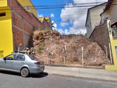 Lote para Venda, em Belo Horizonte, bairro Jonas Veiga