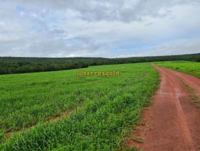 Fazenda para Venda, em General Carneiro, bairro PAREDO