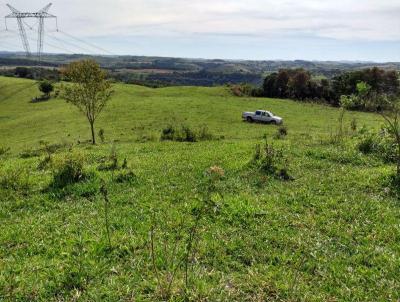 rea Rural para Venda, em Marquinho, bairro Barreiro Grande