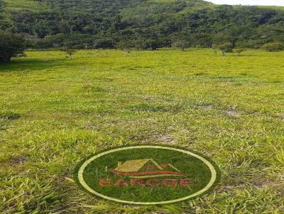 Fazenda para Venda, em Reserva, bairro .