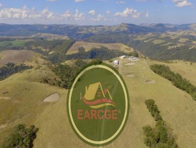 Fazenda para Venda, em Reserva, bairro .