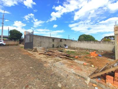 Terreno para Venda, em Guarapuava, bairro Vila Bela