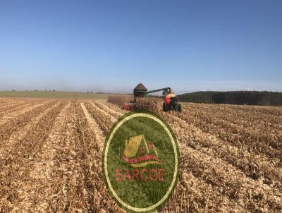 Fazenda para Venda, em , bairro 58 Alqueires mecanizados. 70 Km de Ponta Grossa