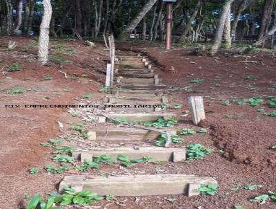 Casa em Condomnio para Venda, em Joanpolis, bairro Paiol Grande, 2 dormitrios, 4 banheiros, 2 sutes, 5 vagas