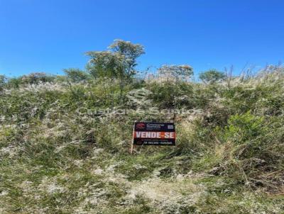 Terreno Urbano para Venda, em Santa Rosa, bairro Altamira 3