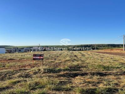 Terreno Urbano para Venda, em Santa Rosa, bairro Guia Lopes