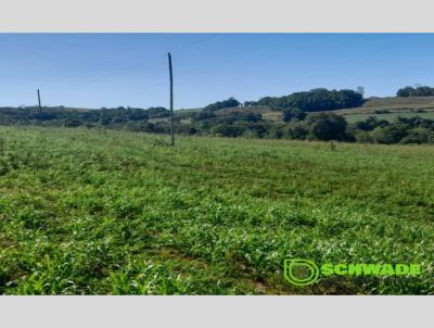 rea Rural para Venda, em Trs Passos, bairro interior