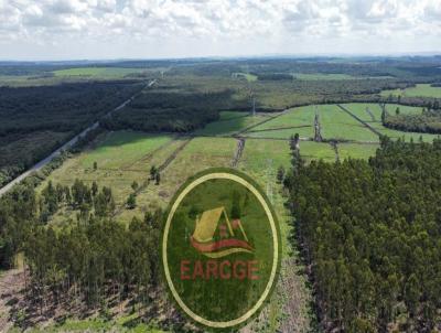 Fazenda para Venda, em , bairro Solicite KMZ para sua anlise.