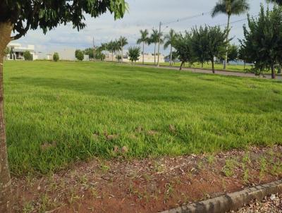 Terreno para Venda, em Lucas do Rio Verde, bairro Parque dos Buritis