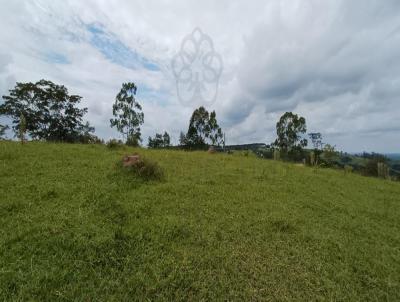 Terreno para Venda, em , bairro Floresta Escura