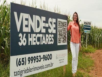 Fazenda para Venda, em Lucas do Rio Verde, bairro RODOVIA MT 449