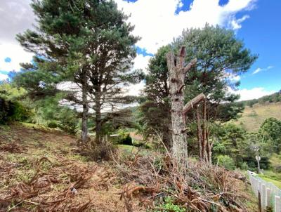 Terreno para Venda, em Campos do Jordo, bairro Mary