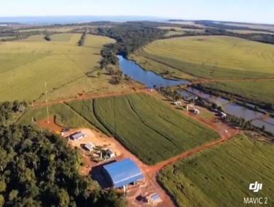 Fazenda para Venda, em Nortelndia, bairro Rural