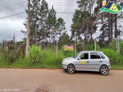 Terreno para Venda, em Ibina, bairro Centro