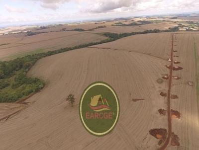 Fazenda para Venda, em , bairro Solicite KMZ, rea de campo de sementes