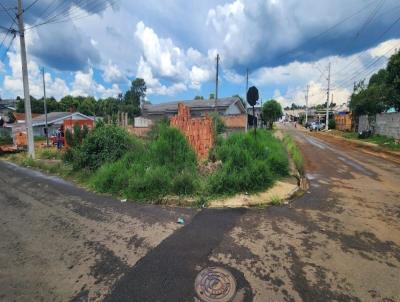 Terreno para Venda, em Guarapuava, bairro Vila Bela