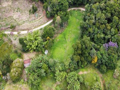 Lote para Venda, em Terespolis, bairro Vargem Grande, 3 dormitrios, 2 banheiros, 3 vagas