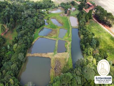 Chcara para Venda, em Laranjeiras do Sul, bairro Vera Cruz, 3 dormitrios, 1 banheiro