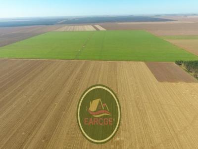 Fazenda para Venda, em Campo Novo do Parecis, bairro Fazenda com 4.100 hectares de rea total