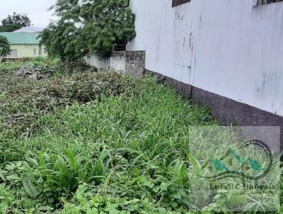 Terreno para Venda, em Imaru, bairro Centro