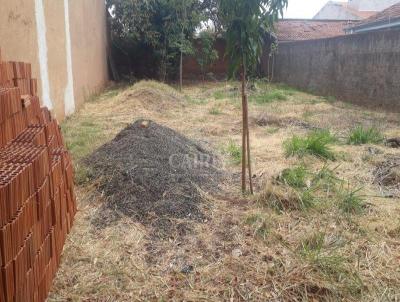 Terreno para Venda, em Araatuba, bairro Ipanema