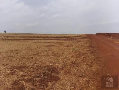 Fazenda para Venda, em Quirinpolis, bairro 000