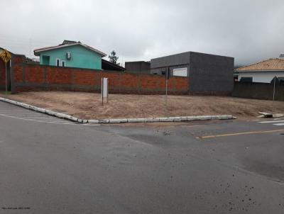 Terreno para Venda, em Santa Rosa do Sul, bairro Vila Albina