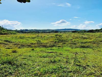 Fazenda para Venda, em Rio Bonito, bairro Samb, 2 dormitrios, 1 banheiro