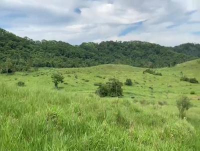 Fazenda para Venda, em Echapor, bairro Centro