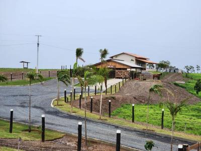 Fazenda para Venda, em Pirenpolis, bairro Centro