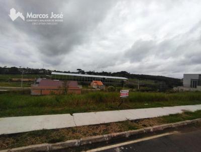 Terreno para Venda, em Irati, bairro Loteamento Lago Real