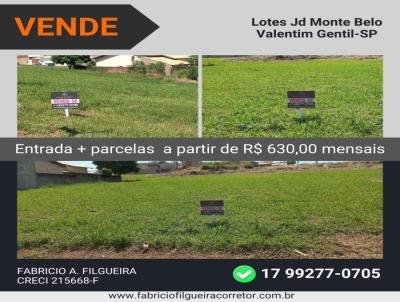 Lote para Venda, em Valentim Gentil, bairro Jardim Monte Belo