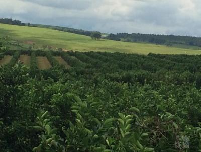 Fazenda para Venda, em Lins, bairro Centro