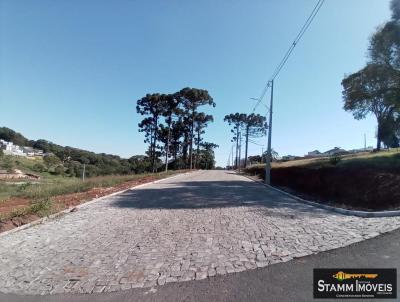 Terreno para Venda, em Carazinho, bairro Santo Antnio