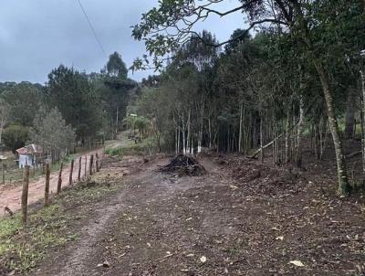 Terreno Rural para Venda, em Castro, bairro Tronco