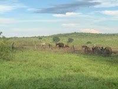 Fazenda para Venda, em Alto Garas, bairro 000