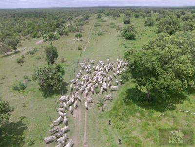 Fazenda para Venda, em Ribeiro Cascalheira, bairro 000